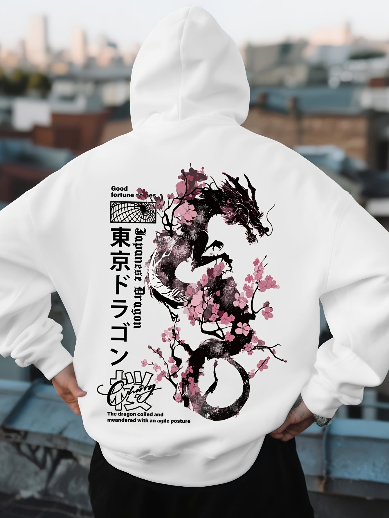 Mens Hip Hop Sports Hoodie Aes - đánh giá và giá Street Fashion Asian Men